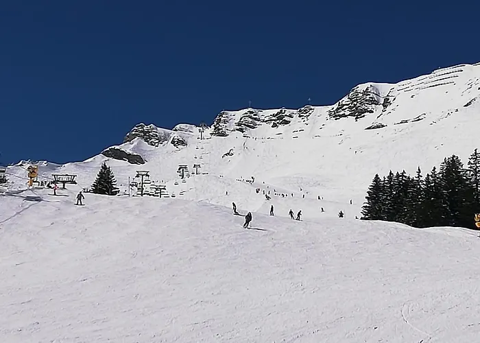 Bonavau Studio3 * Champéry
